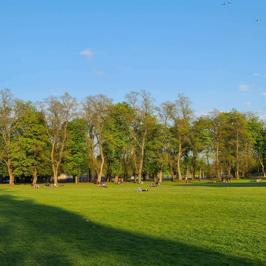 People relacing on a sunny patch of grass in the park