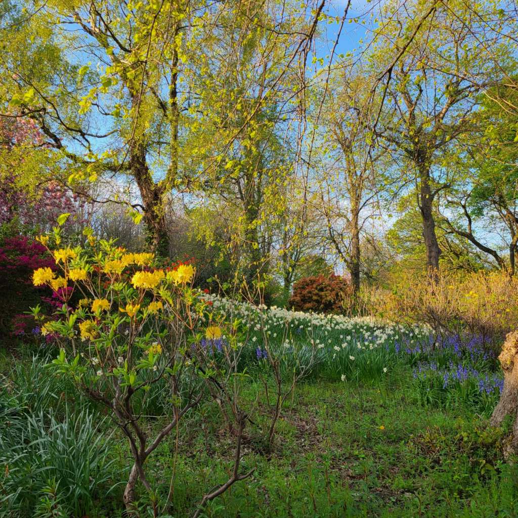 Flowers: some golden yellow, some pale yellow, some blue, some hot pink, and some cherry pink