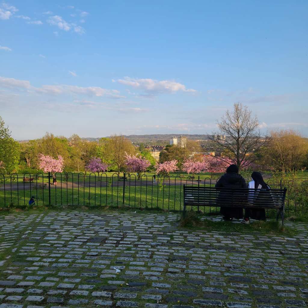 Two people on a bench looking out over Queen's Park. The trees are pink with blossom and beyond are some tower blocks